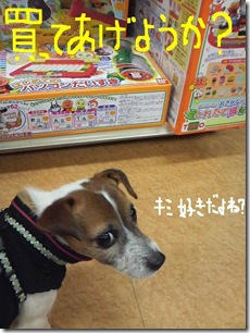 今日カズ081205　22