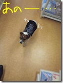 今日カズ081205　23