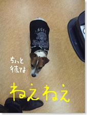 今日カズ081205　24