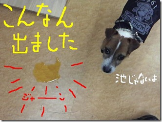 今日カズ081205　25