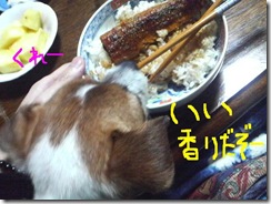 今日カズ081205　27