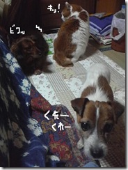 今日カズ081205　28