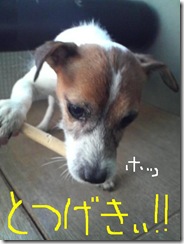 今日カズ081206　4