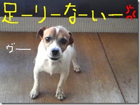 今日カズ081206　5