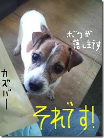 今日カズ081206　6