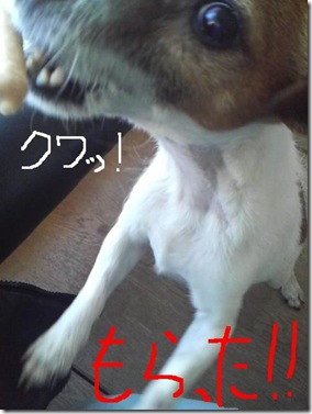 今日カズ081206　7