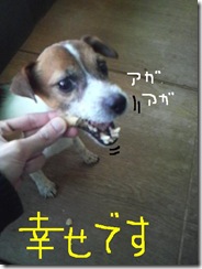 今日カズ081206　8