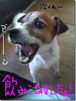 今日カズ081206　9