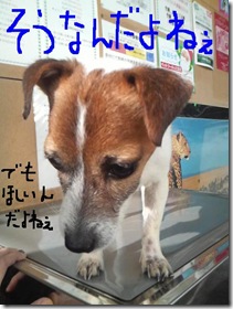 今日カズ081207　3
