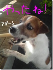 今日カズ081207　4