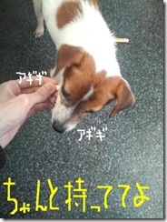 今日カズ081207　5