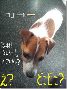 今日カズ081207　7