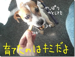 今日カズ081207　8
