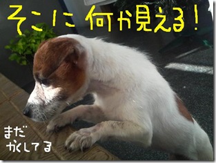 今日カズ081207　9