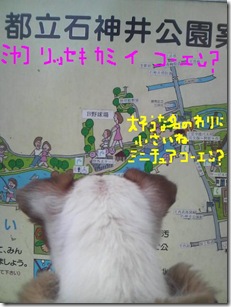 今日カズ081209　2