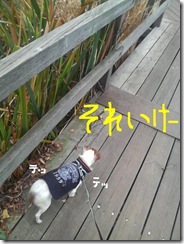 今日カズ081209　3