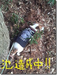 今日カズ081209　8