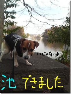 今日カズ081209　9