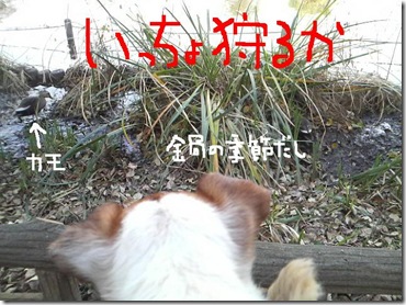 今日カズ081209　13