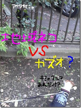 今日カズ081209　14