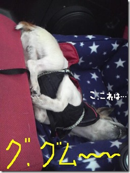 今日カズ081211　1