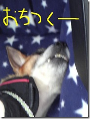 今日カズ081211　2