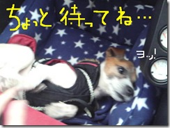 今日カズ081211　3
