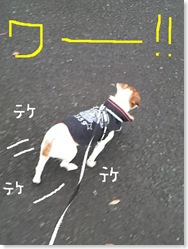 今日カズ081211　11