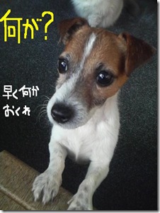今日カズ081212　4