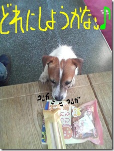 今日カズ081212　5