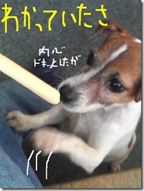 今日カズ081212　7