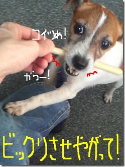 今日カズ081212　8
