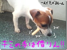 今日カズ081212　9