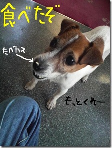 今日カズ081212　10