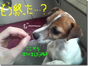 今日カズ081212　12