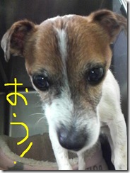 今日カズ081213　1