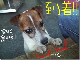 今日カズ081213　3