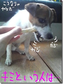 今日カズ081213　7