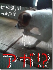 今日カズ081213　8