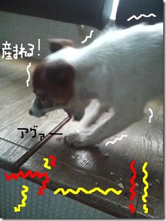 今日カズ081213　9