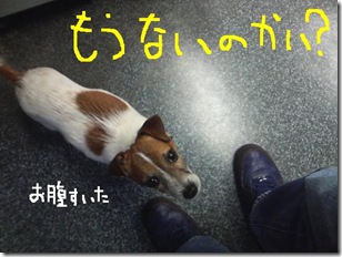 今日カズ081213　10