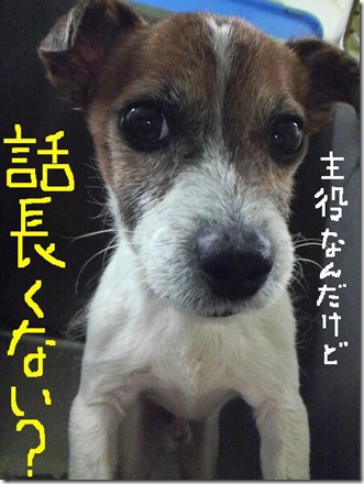 今日カズ081214　1
