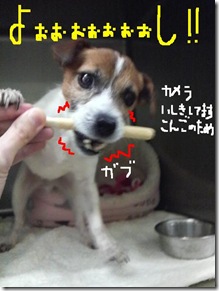 今日カズ081214　3