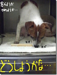 今日カズ081214　4