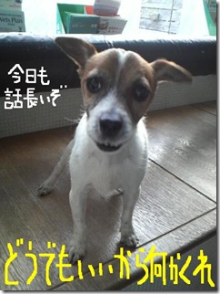 今日カズ081216　1