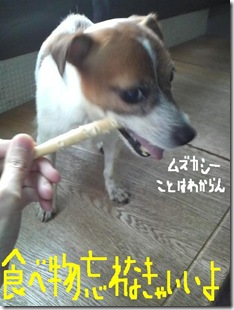 今日カズ081216　2