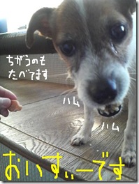 今日カズ081216　4