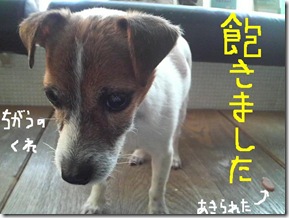 今日カズ081216　5