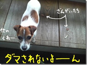 今日カズ081216　8