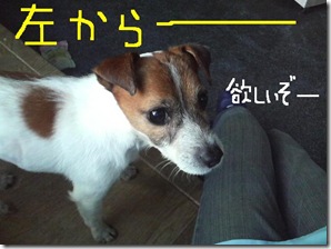 今日カズ081216　10